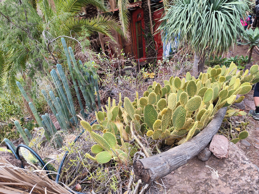 Jorg Kroker-特尔德必去景点