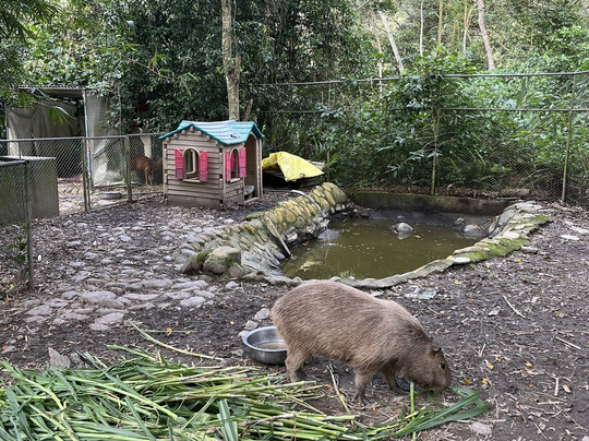 Gravity Bolivia-拉巴斯必去景点