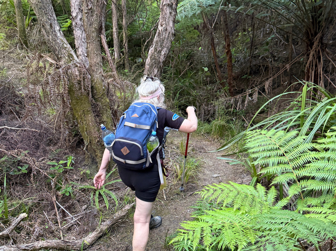 Tora Coastal Walk-马丁堡必去景点