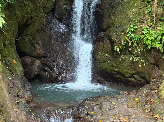 Real Adventure Tours-克波斯必去景点