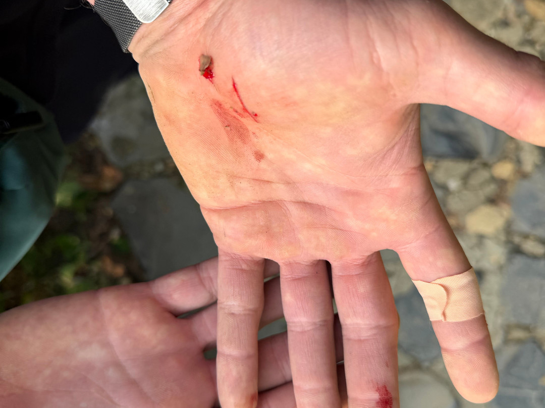 Nostalgia Cruise-团洲岛必去景点