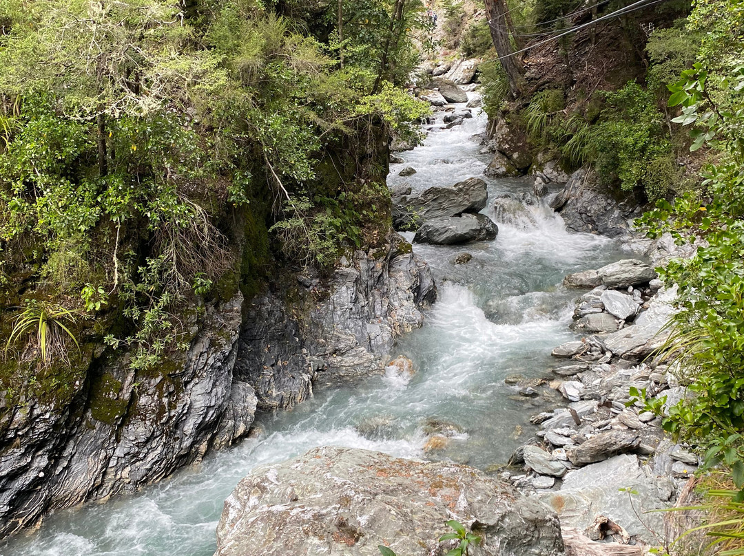 Paradise Ziplines-格伦诺基必去景点