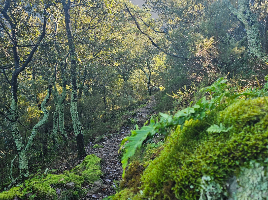 Mas de la Fargassa