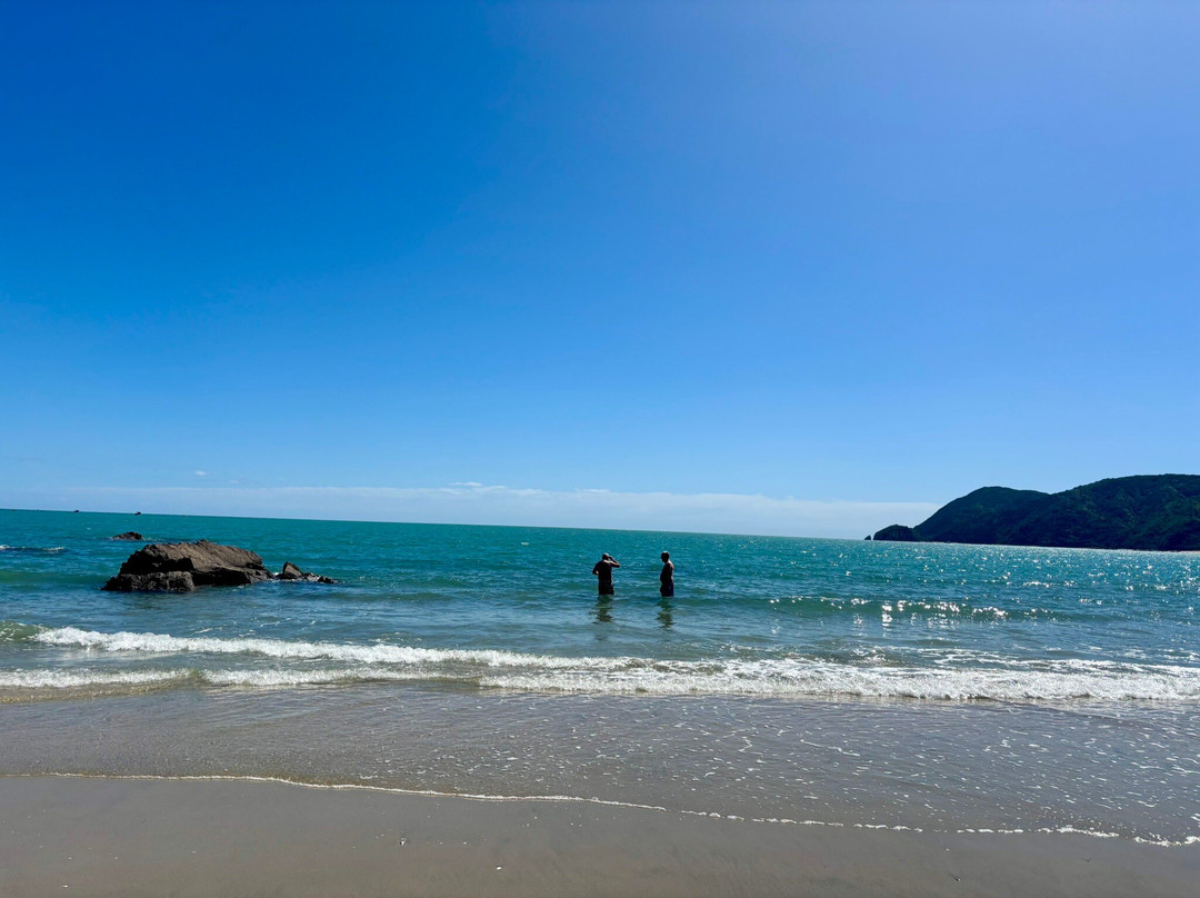 Golden Bay Kayaks-塔卡卡必去景点