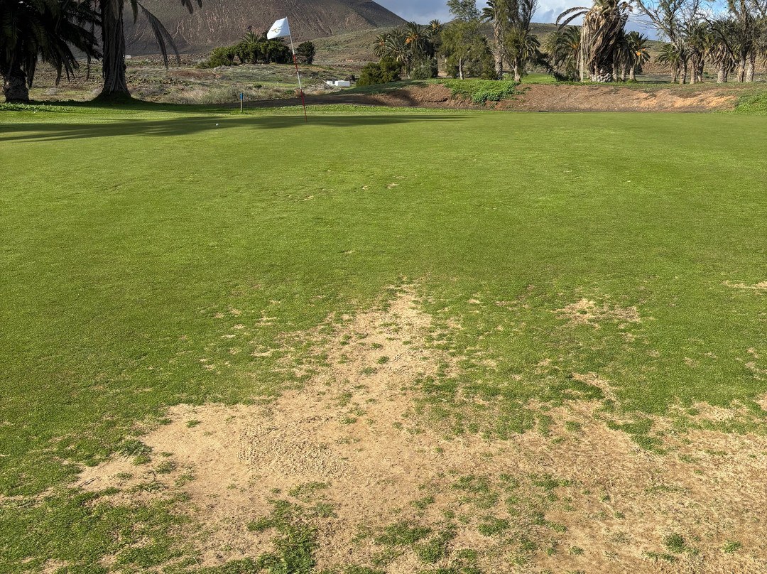 Costa Teguise Golf-科斯塔特吉塞必去景点