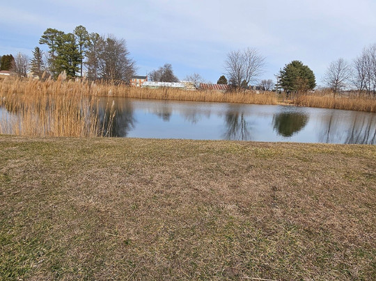 North Carroll Community Pond-Hampstead必去景点