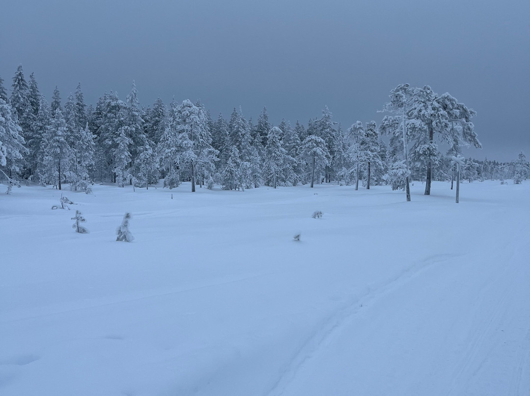 Aavasaksa Adventures-Ylitornio必去景点