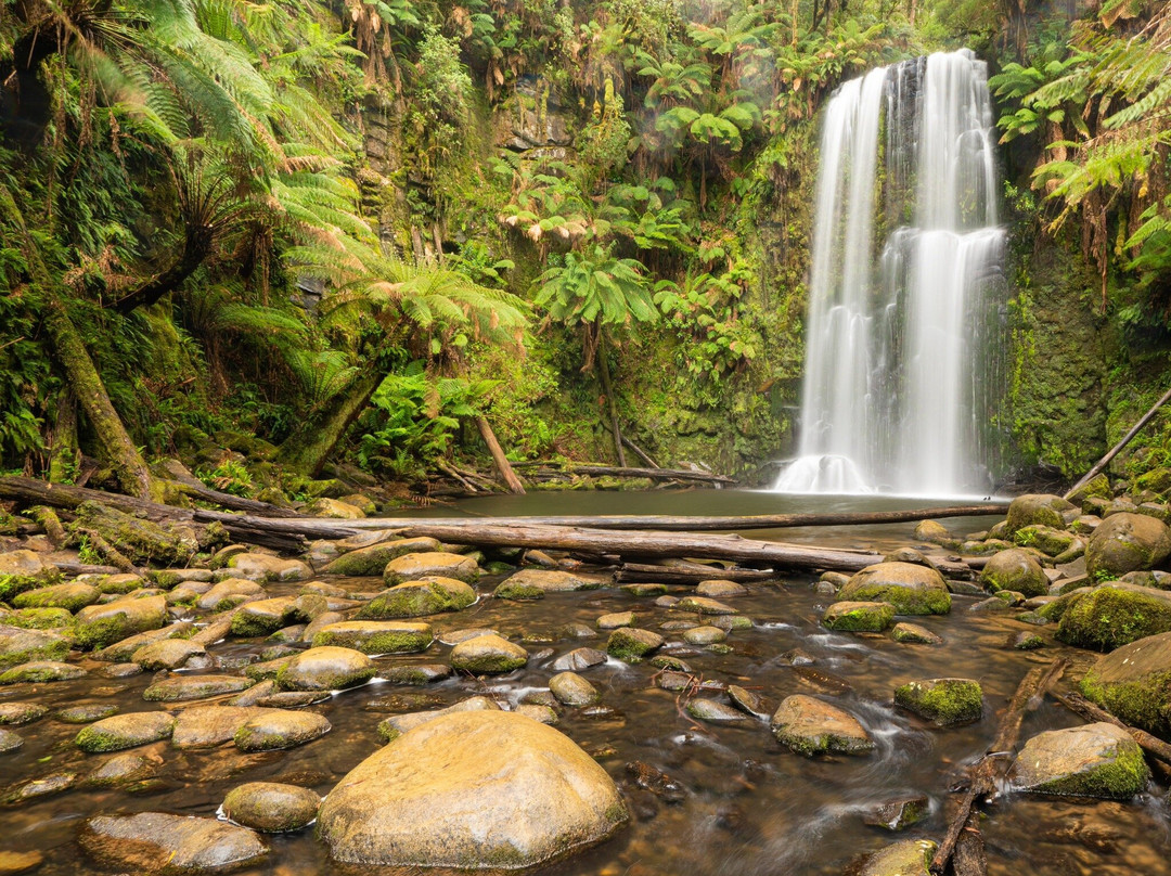 Cascadas de San Jacinto