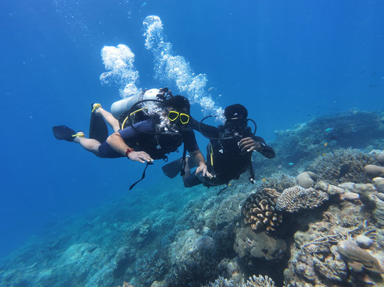 Turquoise Dream-Neil Island必去景点