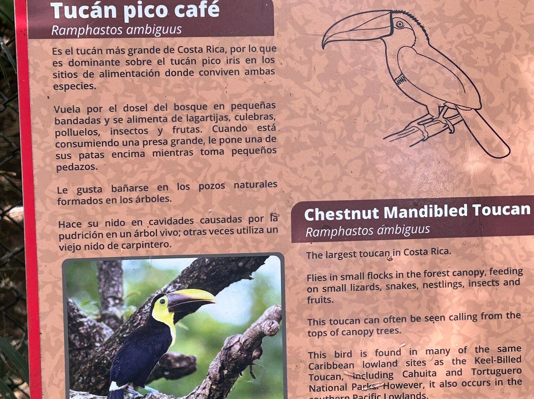 Rescate Wildlife Rescue Center-阿拉辉拉必去景点