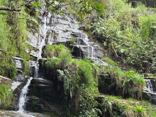 Del Rey Climb-德尔雷伊必去景点