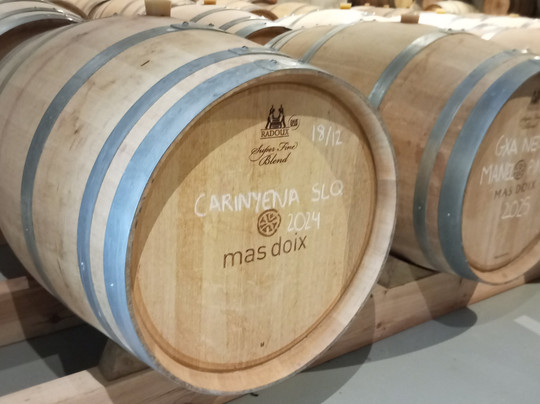 Mas Doix-Poboleda必去景点