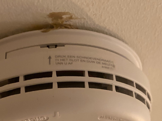 Hotel Doppenberg主图