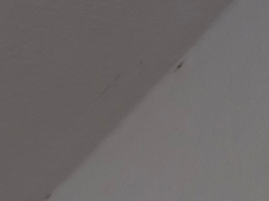 Seehotel Schorfheide主图