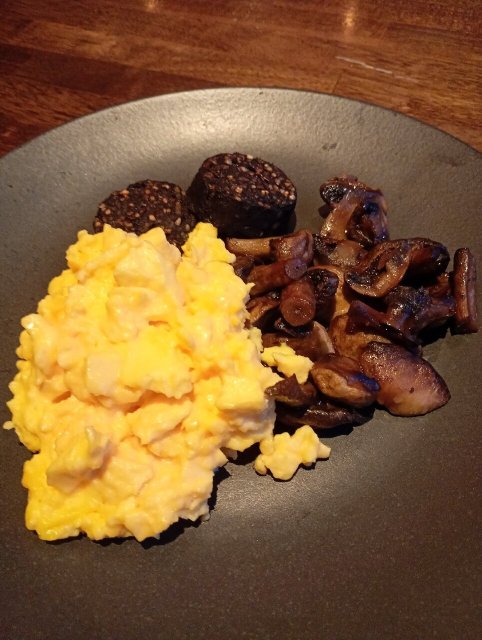 Absolute Hotel-官方