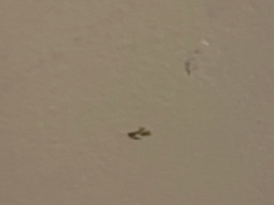 Odalys Essential Residence Résidence du Port主图