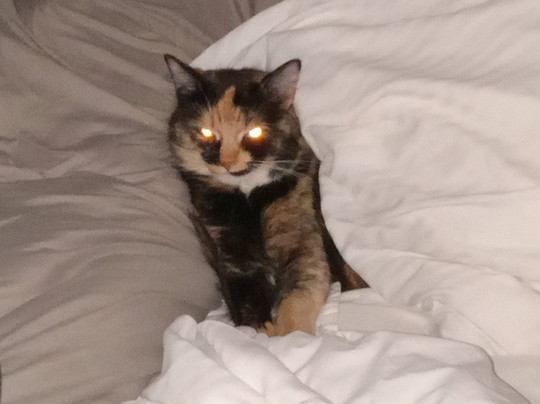 La Quinta Inn by Wyndham Fayetteville I-95主图