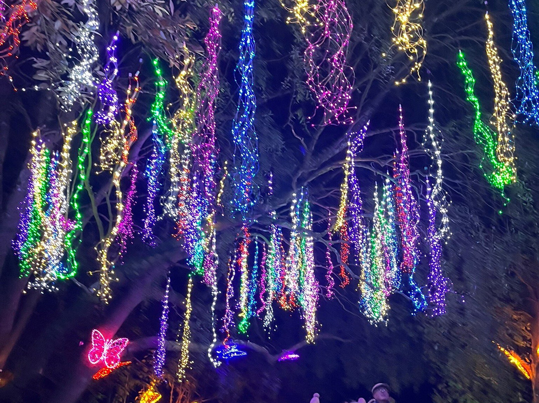 Light Up Trails-罗姆西必去景点