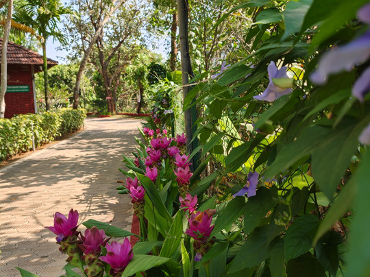 Anamala Serenity Homestay Kerala主图