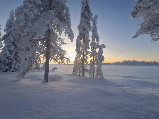 Lapland Safaris Yllas-Akaslompolo必去景点