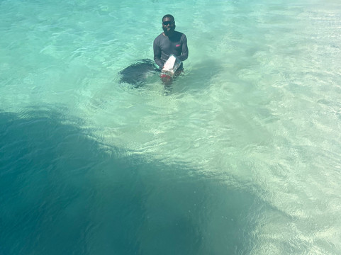 Ocean Vibes Scuba & Watersports-Grand Turk必去景点