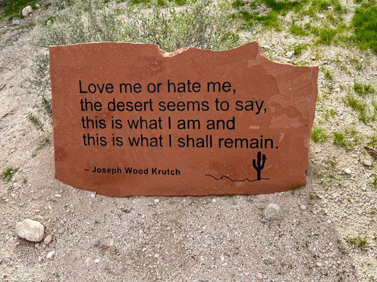 Tohono Chul-图森必去景点