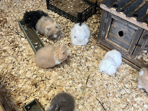 All Things Wild-Honeybourne必去景点