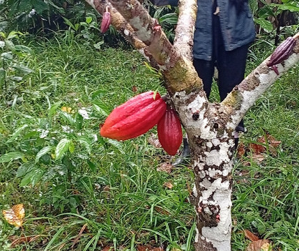 Witoca-Loreto必去景点