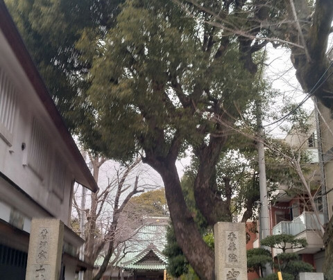 Gyokurin-ji Temple-Yanaka必去景点