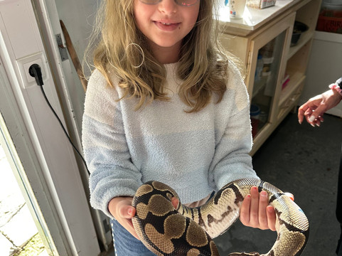 Quinta Fotoplanet Farm-阿尔布赞拉必去景点