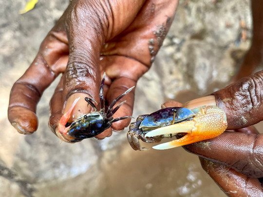 Safari In Kenya Con Matteo-瓦塔木必去景点