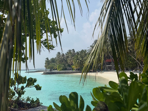 Euro-Divers Niva Kurumba Maldives-库鲁巴椰子岛必去景点