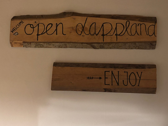 Openlappland-Amsele必去景点