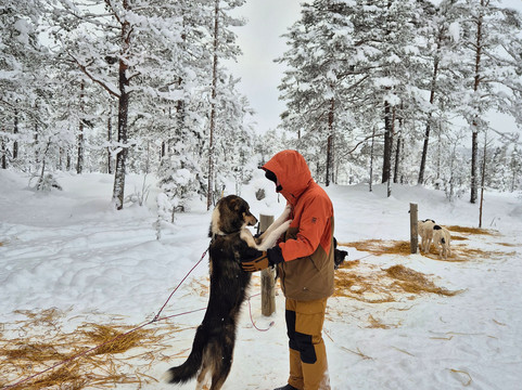 Trysil Husky-Torberget必去景点