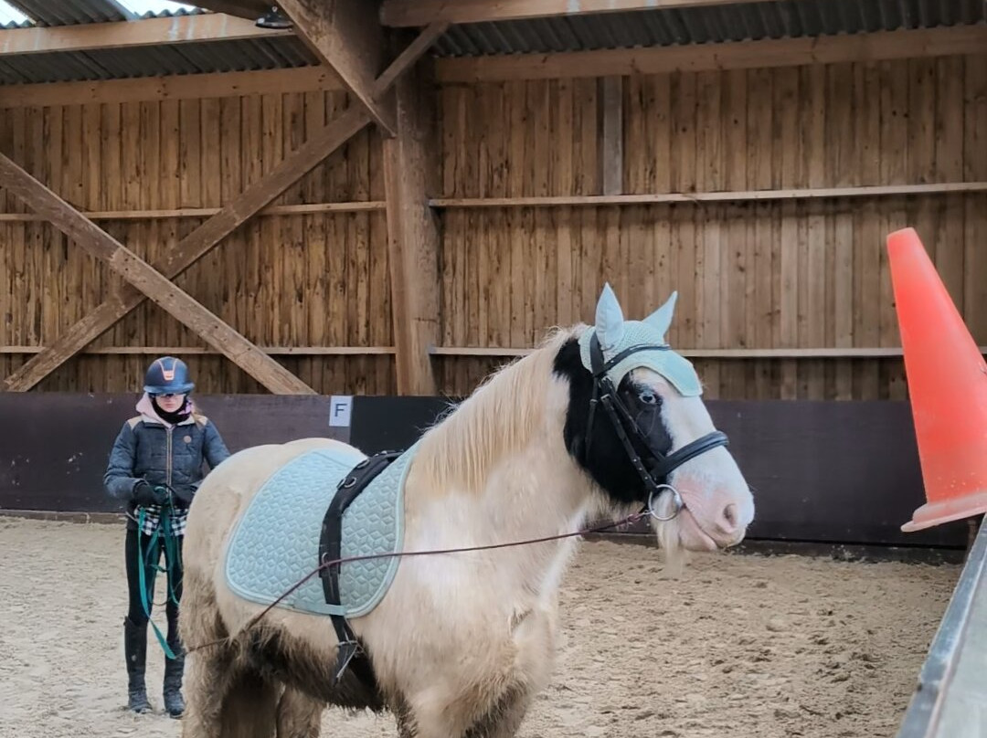 Centre équestre les Ecuries du Marais-Clairmarais必去景点