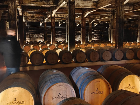 Bodegas Manzanos Haro-哈罗必去景点