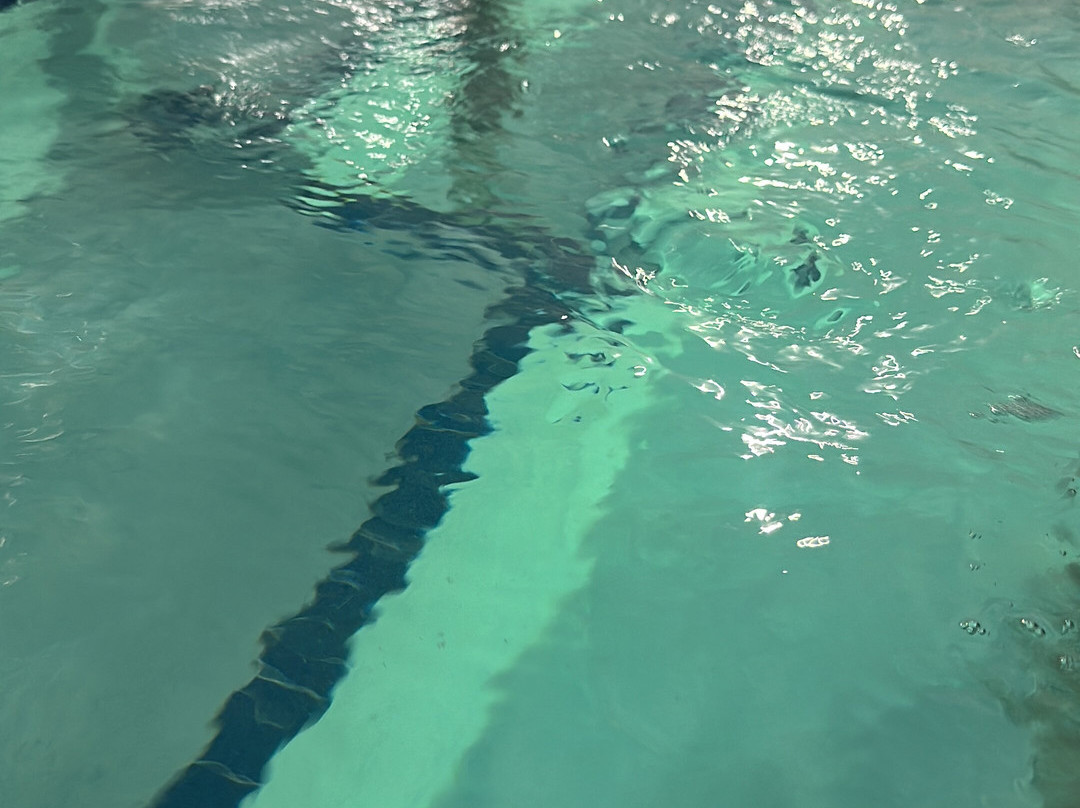 圣保罗伍德伯里拉昆塔温德姆套房酒店主图