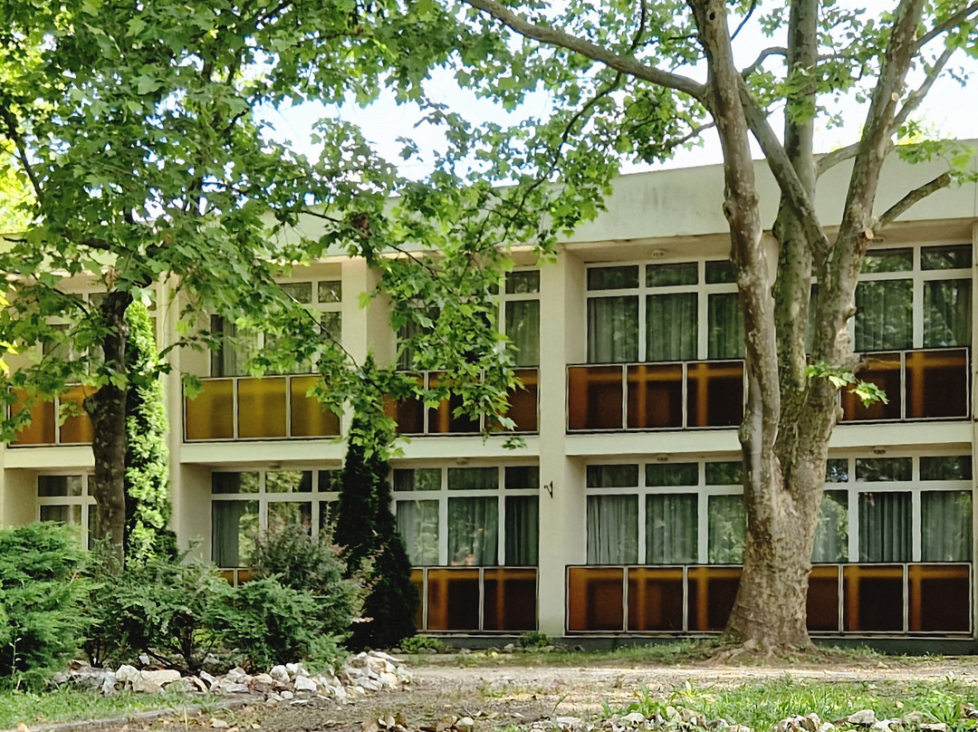 PSZ Hotel Beach Földvár***