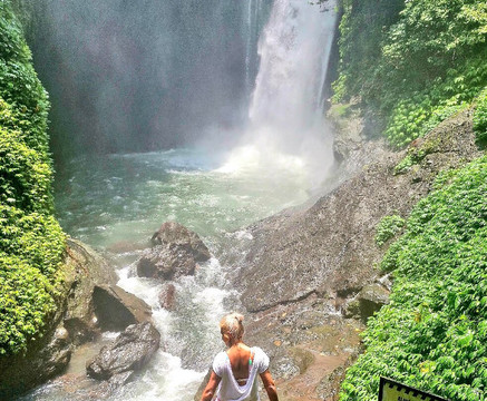 Menjangan Bali Driver Guide-佩母德兰必去景点