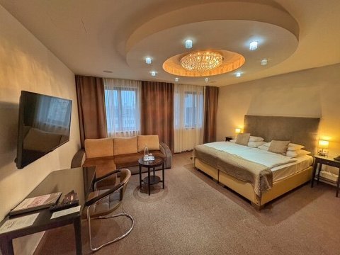 达努比亚盖特酒店-客卧