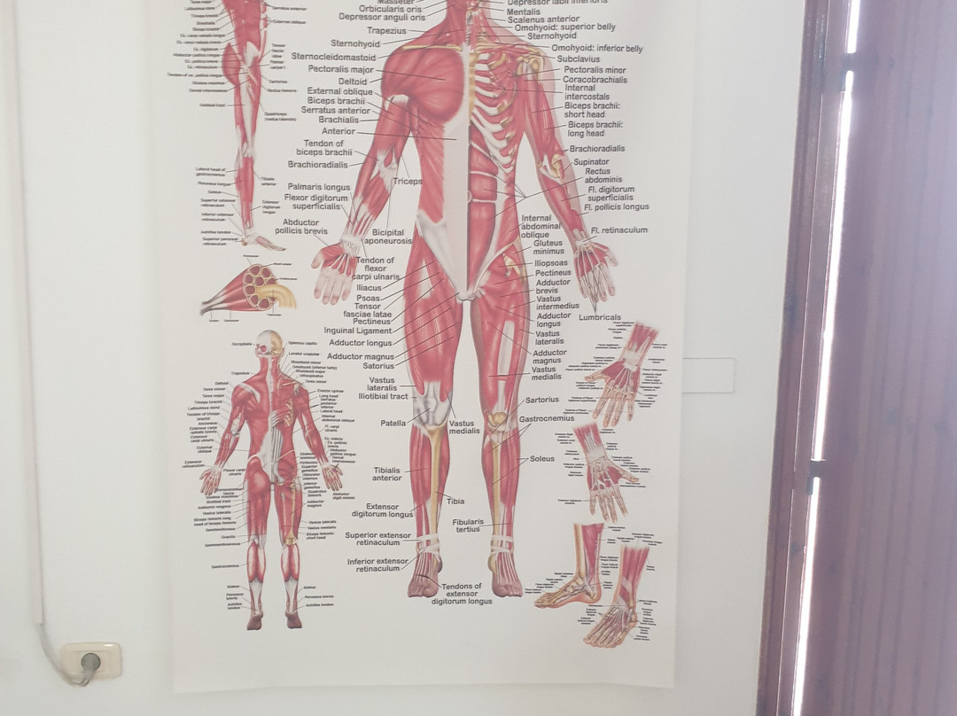 Laura Spa Massage Sousse-康大维港必去景点