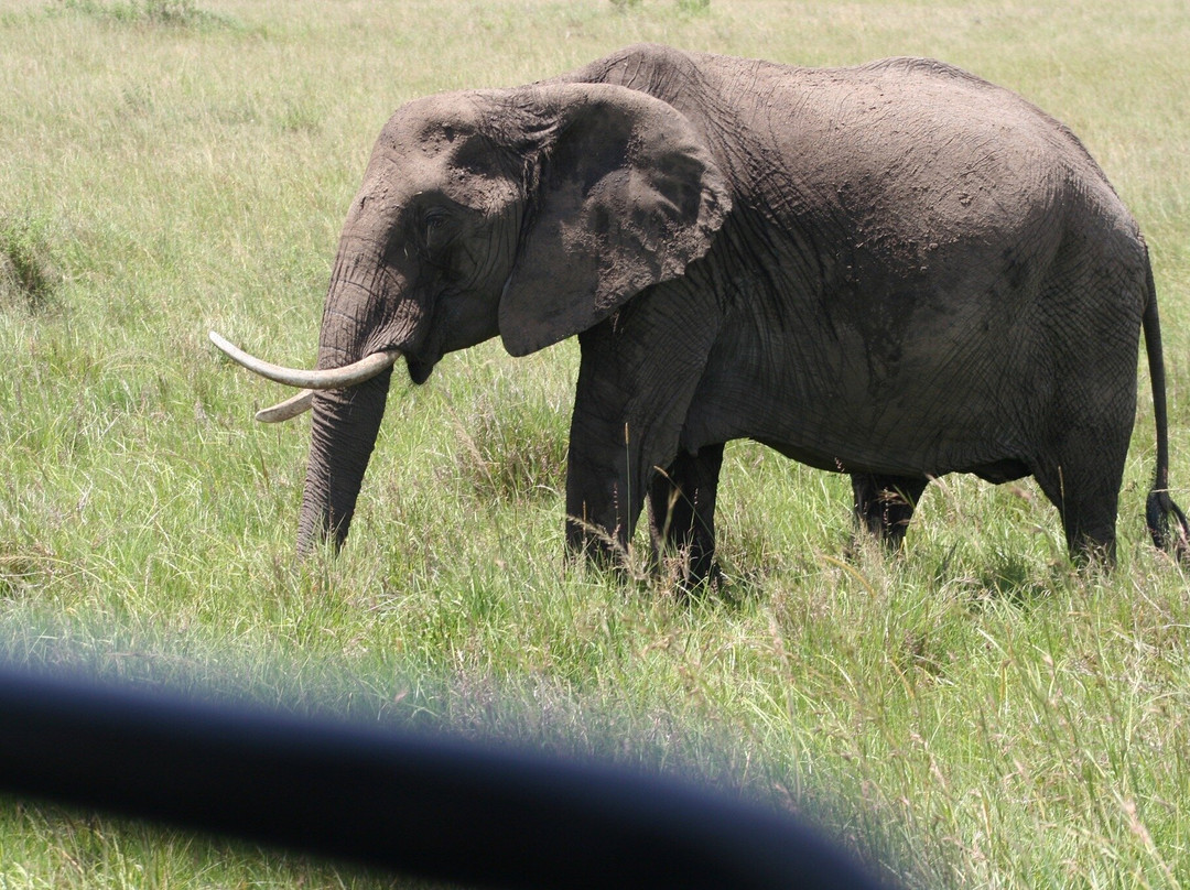 Spirit of Kenya-内罗毕必去景点