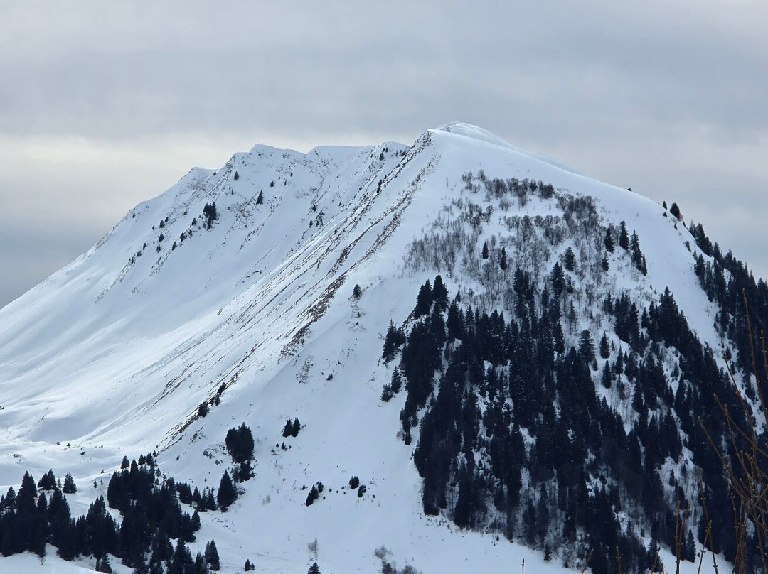 德拉克鲁瓦 - 弗莱莱斯小木屋酒店主图