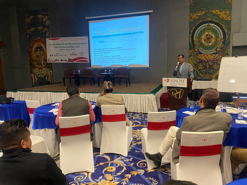 Soaltee Westend Premier主图