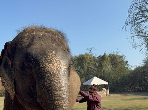 Dera Amer Wilderness Camp-Amer必去景点