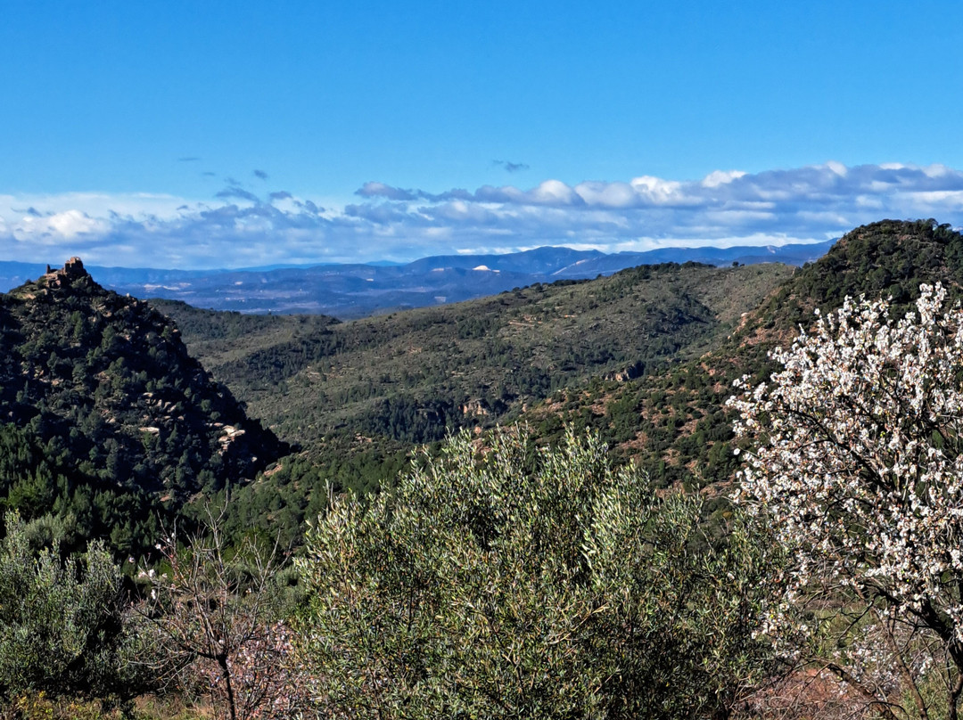 Valencia Mountain Enthusiasts-巴伦西亚必去景点