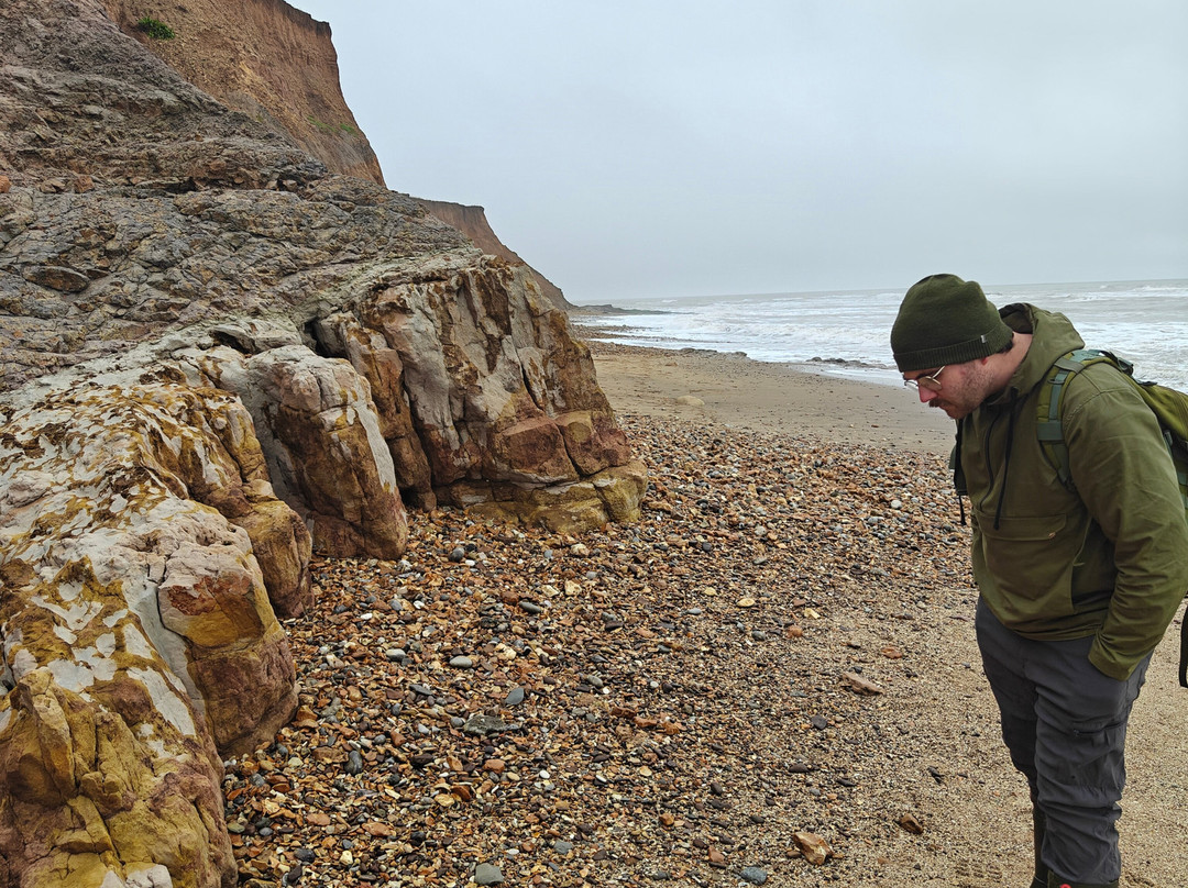 Isle of Wight Fossil Walks- Wight Coast Fossils-文特诺必去景点
