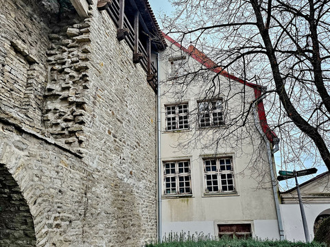 Danish King's Garden-塔林必去景点