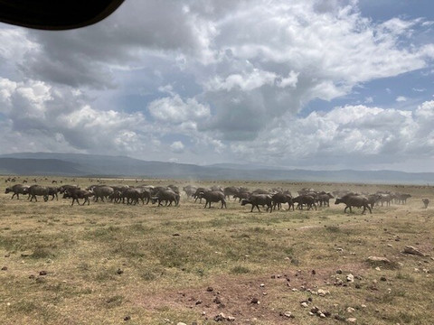 Otto Safari Guide Tanzania-Kibaha必去景点