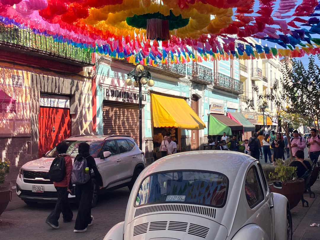 Estacion Mexico Free Tours-墨西哥城必去景点